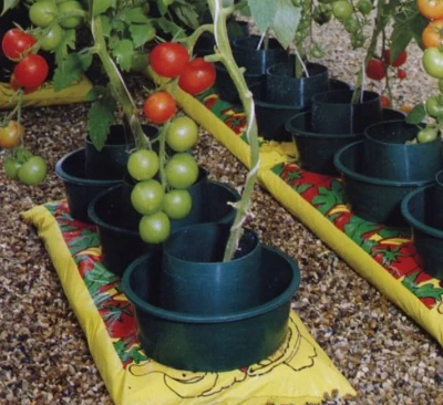 Tomato Grow Pots for Easy Feeding & Watering